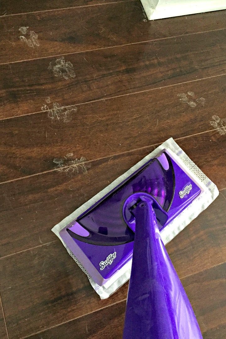 Cleaning muddy paw prints with Swiffer Wet Jet