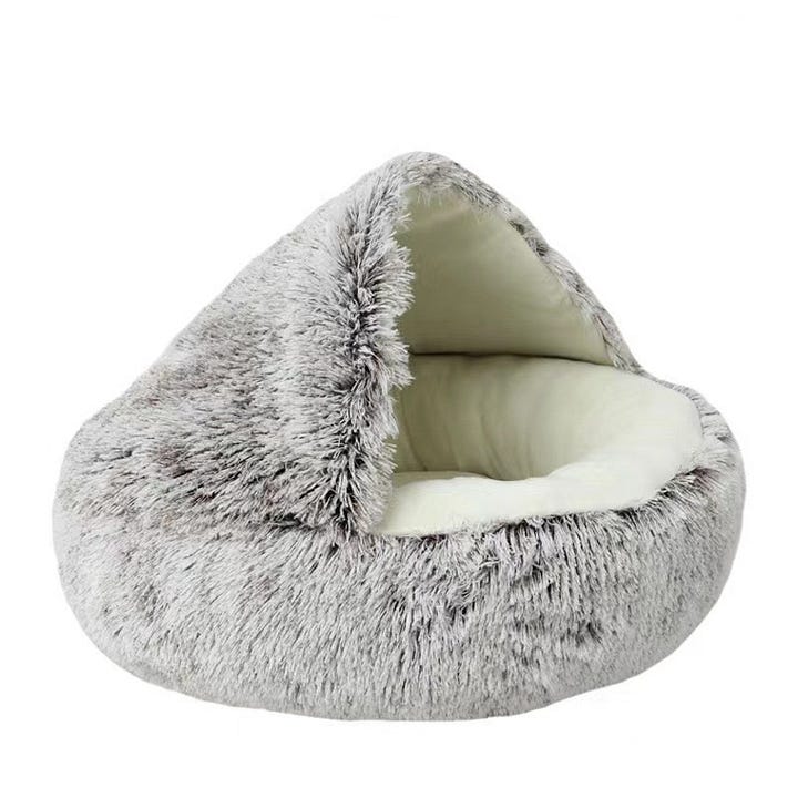 Best Dog Beds for Every Pup’s Special Needs