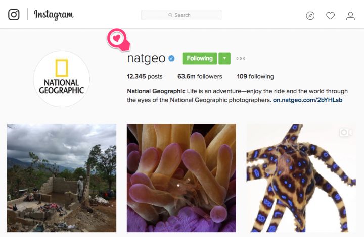 national_geographic___natgeo__%e2%80%a2_instagram_photos_and_videos-2