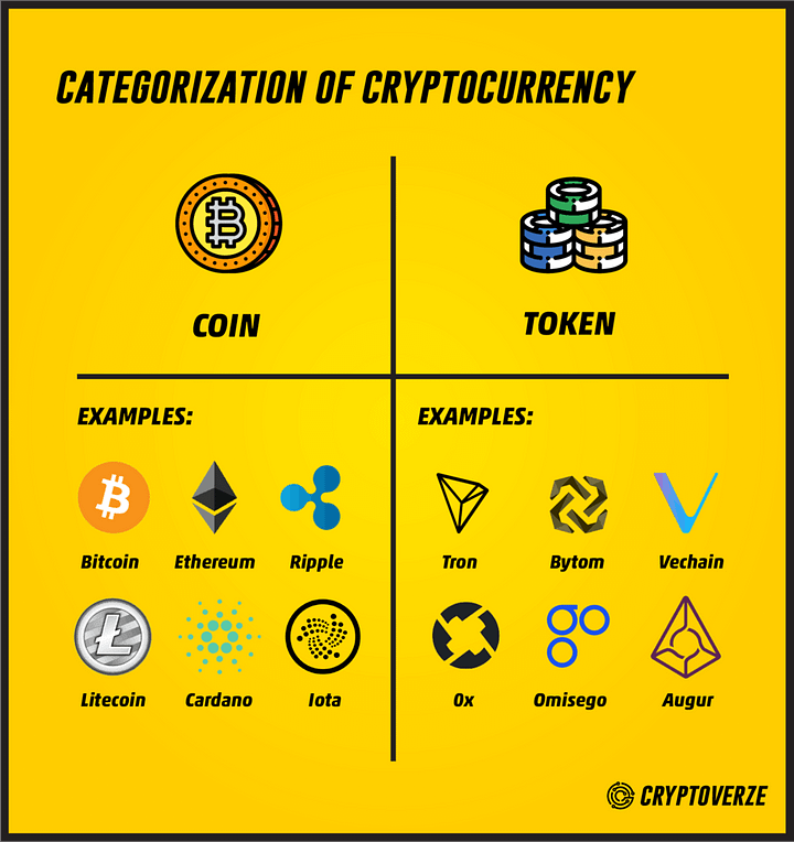 Understanding the Different Types of Cryptocurrency