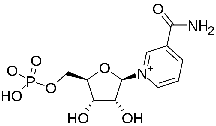 NMN, nicotinamide mononucleotide chemical structure