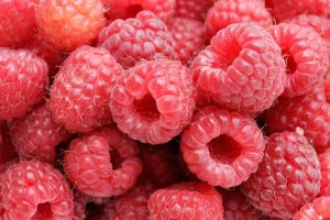 Fresh raspberries, grown in Serbia, are the perfect healthy snack. 
