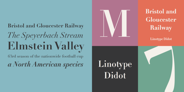Linotype Didot Classic Font for Logo Design