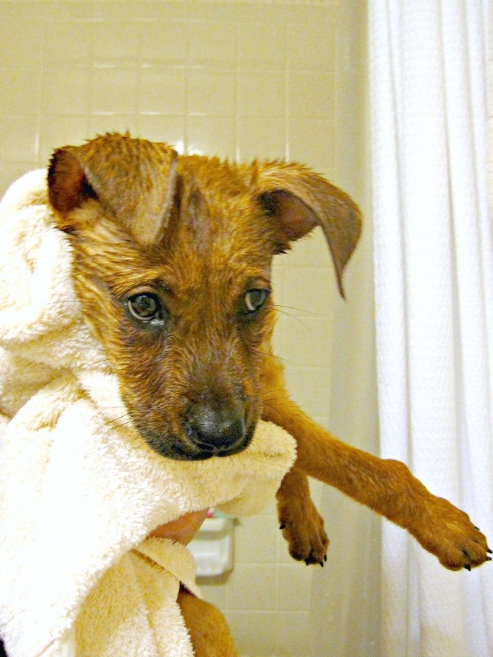 Charlie's first bath