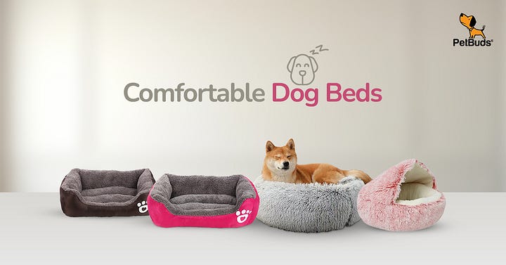 Best Dog Beds for Every Pup’s Special Needs