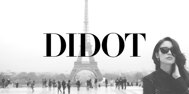 Linotype Didot Classic French Font for Logo Design