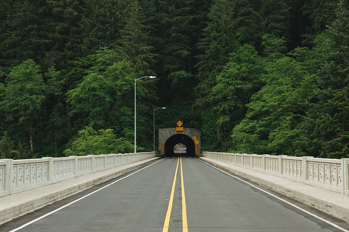A road with a view of tunnel entrance engulfed by trees. You cannot see what is on the other side.