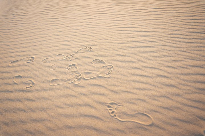 Footprints in the sand.