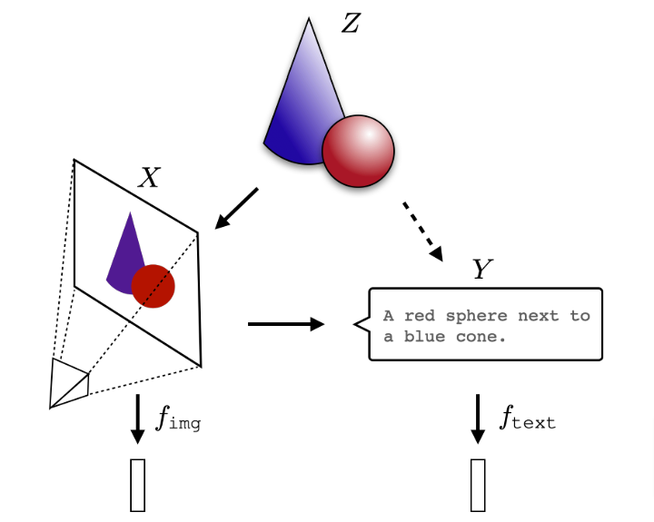 Coffee Time Papers: The Platonic Representation Hypothesis