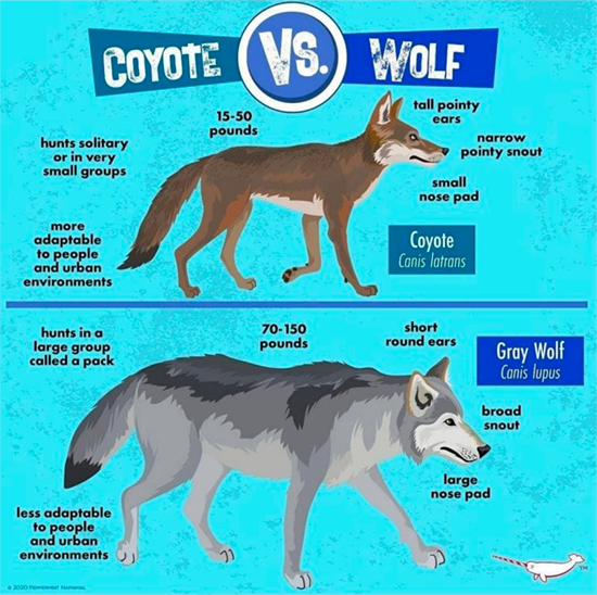 bad example of instagram engagement with versus post