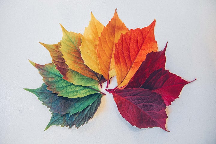 Photo of leaves colored from green to yellow to red posted on Dr. James Goydos 2021  article on melanoma and the seasons.