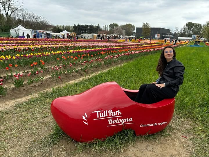 Elogio del tulipano, un fiore nel tempo