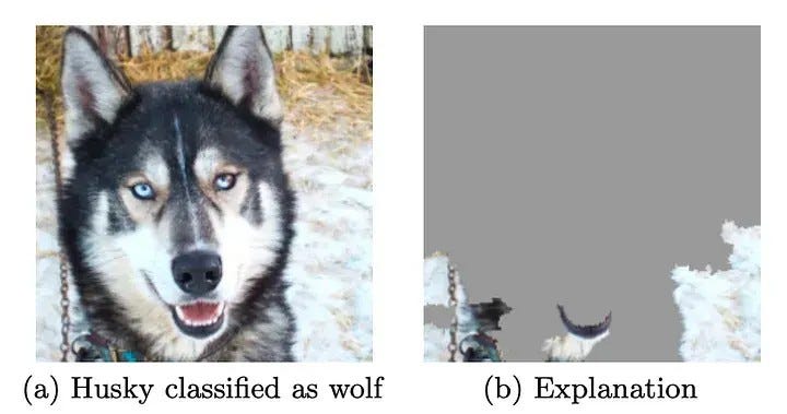 The Anatomy of Trust in AI The Anatomy of Trust in AI