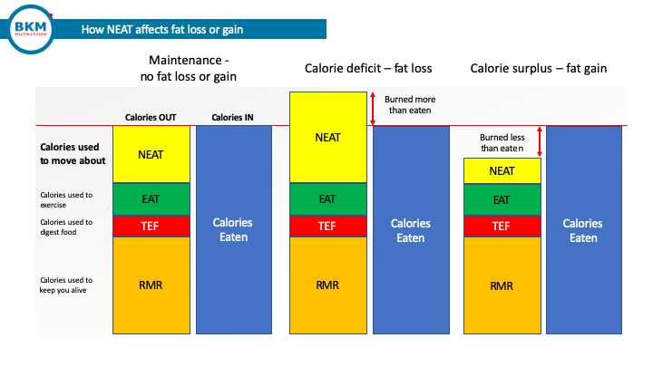 An illustration of Non Exercise Activity Thermogenesis or NEAT and how it affects fat loss