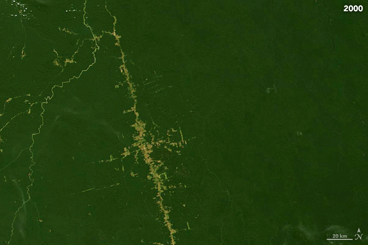 The evolution of deforestation between 2000–2019 along a highway in Para, Brazil (Photos from the NASA Earth Observatory, by