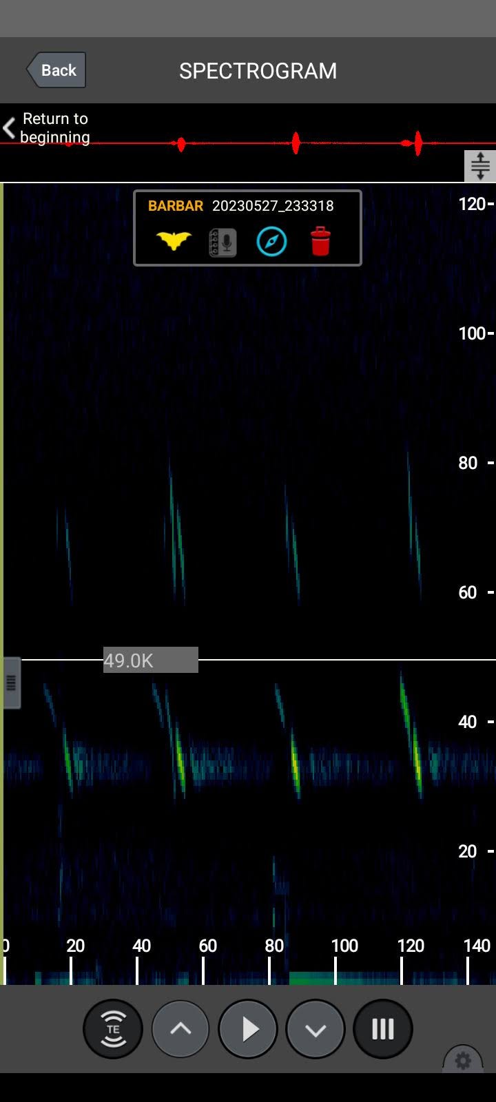 Different bat species can be distinguished by visualizing and measuring features of the spectrograms created from the recorded sounds.