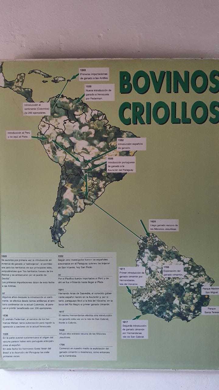 Banner do Museu do Parque Nacional de Santa Teresa no Uruguai contando um mapa da América do Sul e as datas e origens dos primeiros gados nas diferentes regiões