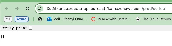 Empty list result when inserting API URL in browser.