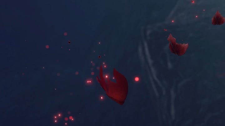 raw-image
