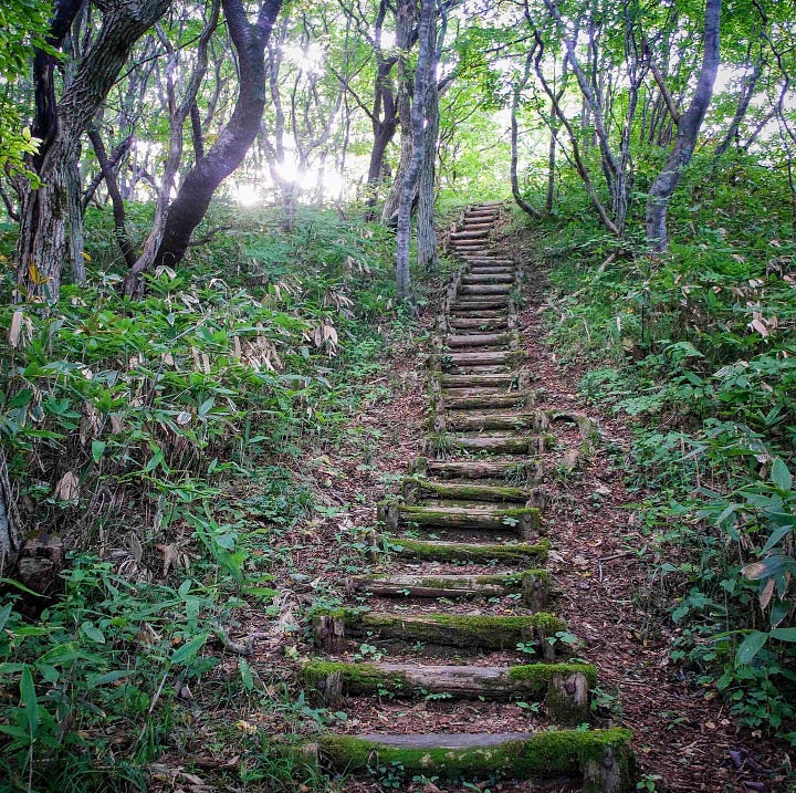 A stairway leads up the mountain path under a canopy of bright green leaves on Mt. Kyogakura in Sakata City, Yamagata Prefecture, Tohoku region of north Japan.