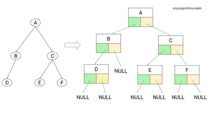 Linked Representation of Binary Trees