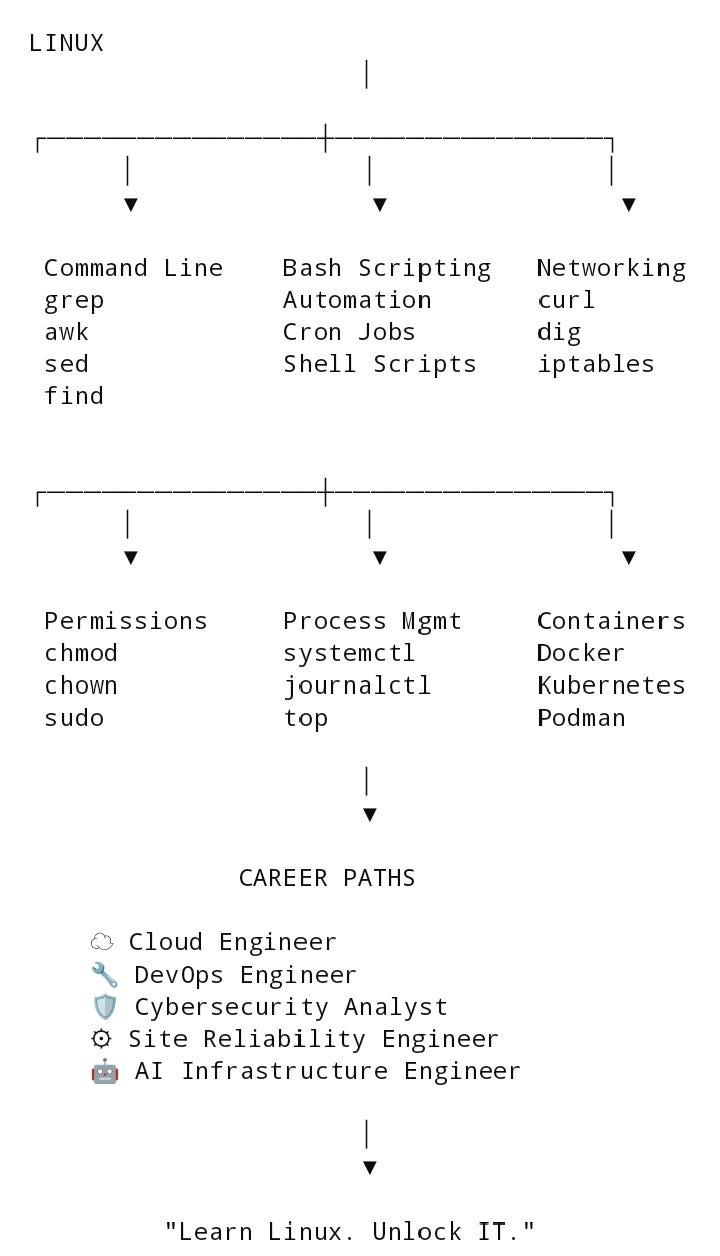 The Linux Skills That Instantly Make You More Valuable in IT