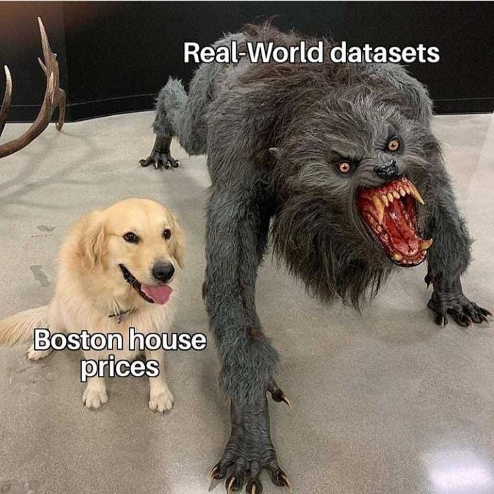 a beatiful dog with the subtitle “Boston house prices” aside of a beast with the subtitle “real-world datasets”
