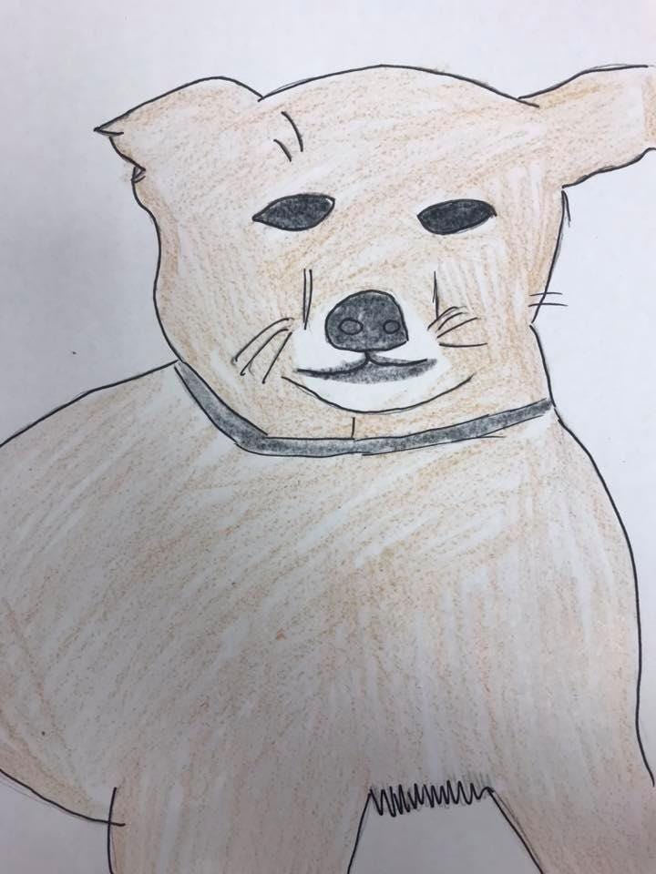 A badly drawn sktech of a bear