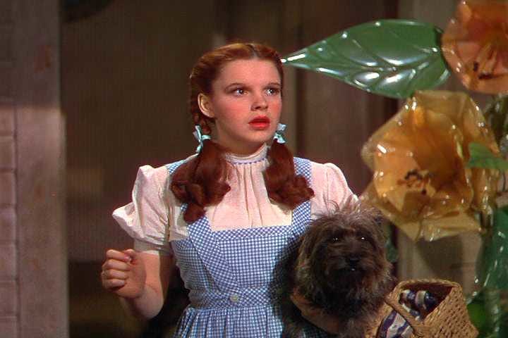 Dorothy arriving in Oz, looking confused. From The Wizard of Oz.