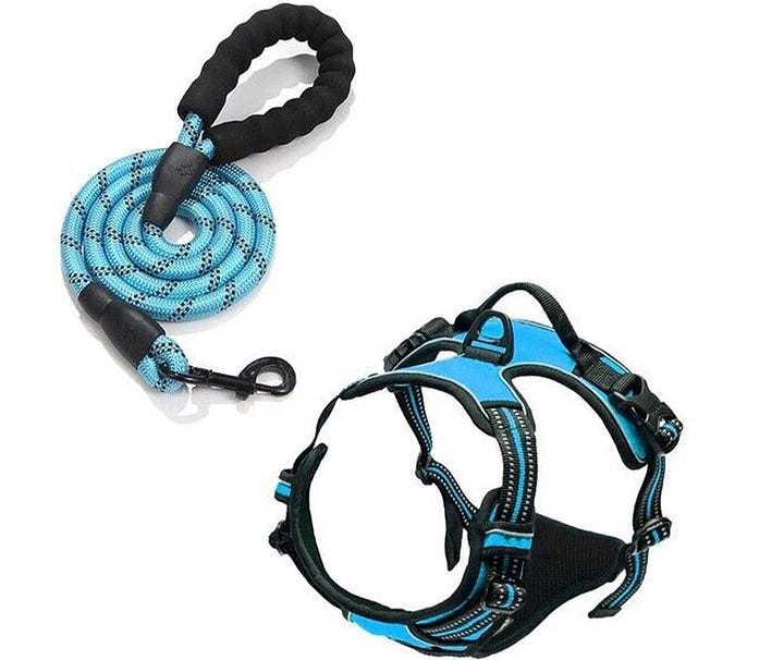 Make Every Trip Comfortable with Dog Travel Accessories