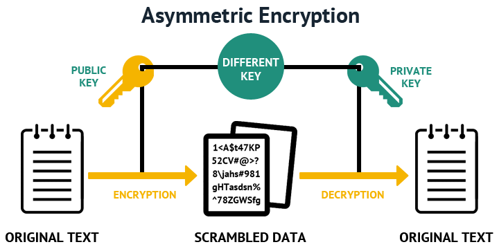 Generating RSA Private And Public Keys Bitcoin Insider