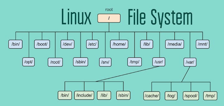 Linux Dosya Sistemi ve Dizin Yapısı