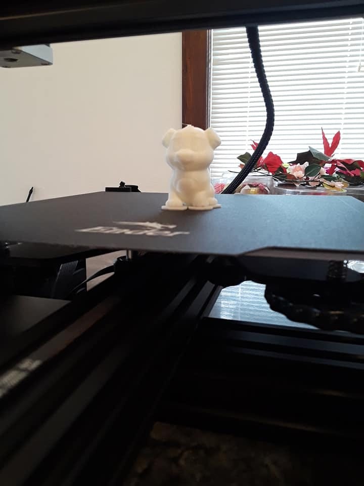 Test Dog Printed By My Creality Ender 3 Pro