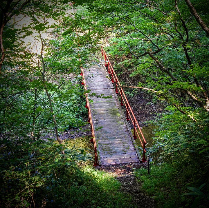 Surrounded on all sides by a canopy of leaves, a red bridge crosses a mountain stream on Mt. Kyogakura, one of the 100 Famous Mountains of Yamagata located in Sakata City, in the Tohoku region of North Japan.