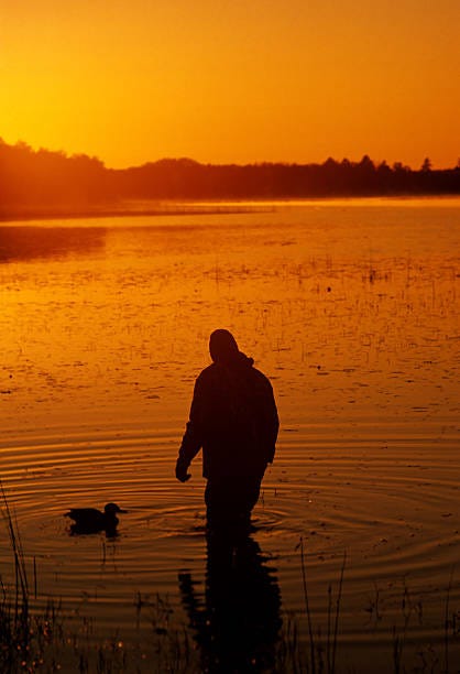 Enjoy the Exciting Experiences of Colorado Duck Hunting Outside with Birds and Bucks