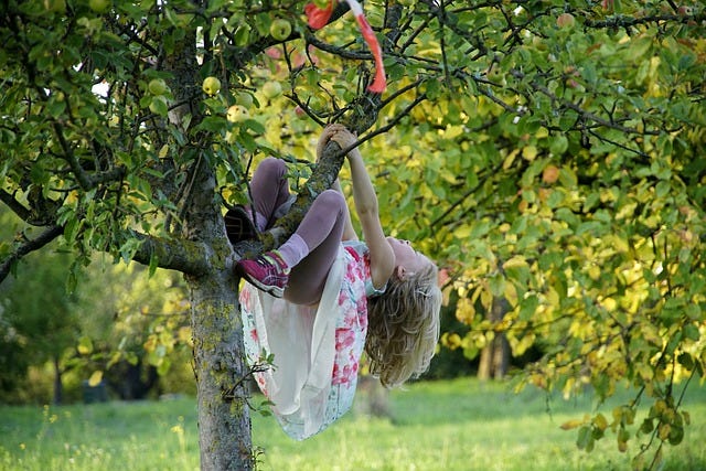 A child hanging from a tree branch in a mischievous way