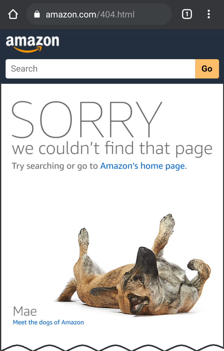 Screen shot of amazon.com 404 page
