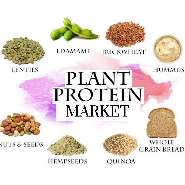 Global Plant Based Protein Market Research Report 20182023 - 