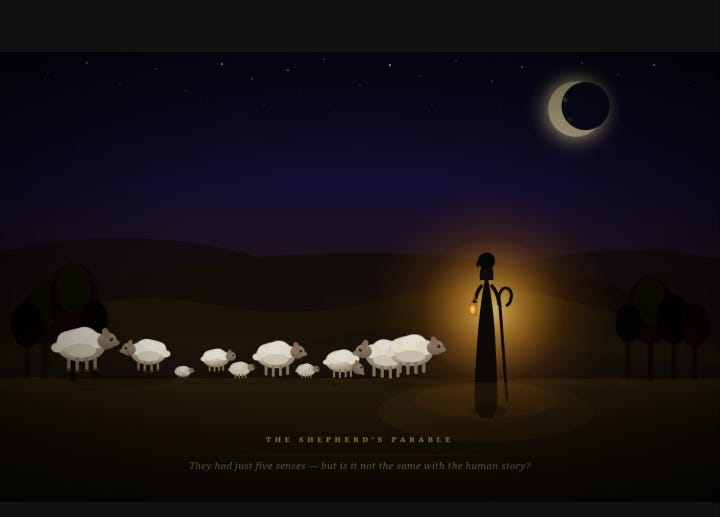 Are we any different from the sheep?!