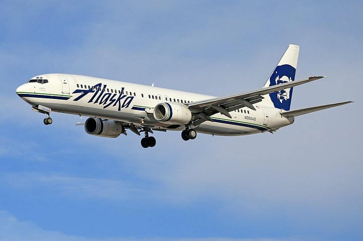 Alaska Airlines Pet Policy: Traveling with Dogs & Cats Safely