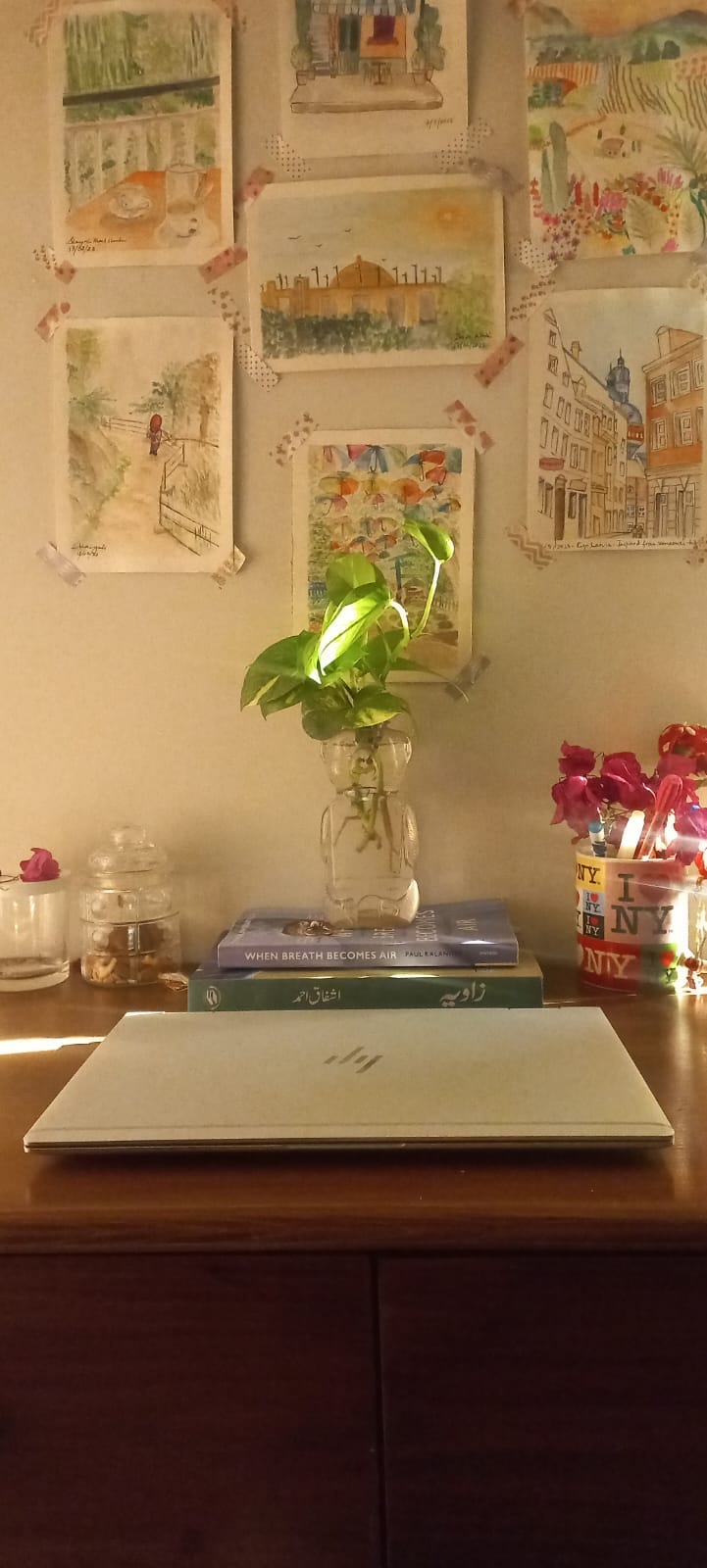 Sunlit, cozy homework space. The worktable on which a plant is set up over a few books, a laptop is resting, and a few jars of nuts and a pen holder. Sun lights are creating a spectacular show.