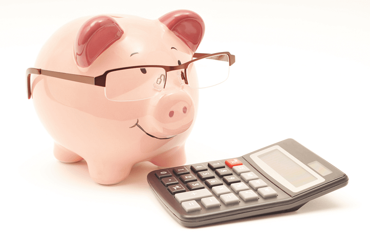 budget piggy bank