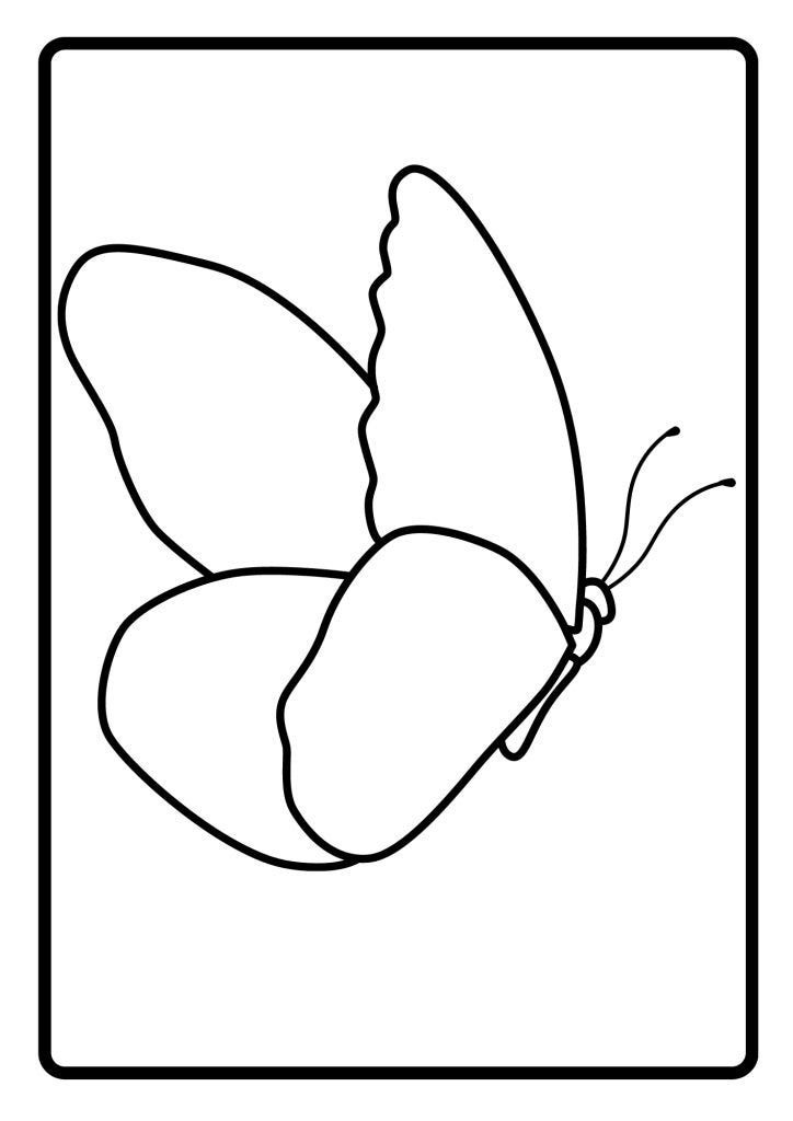 BUTTERFLY OUTLINE ICON
