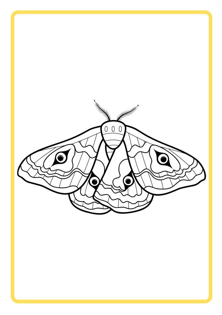 BUTTERFLY BLACK AND WHITE VECTOR 4