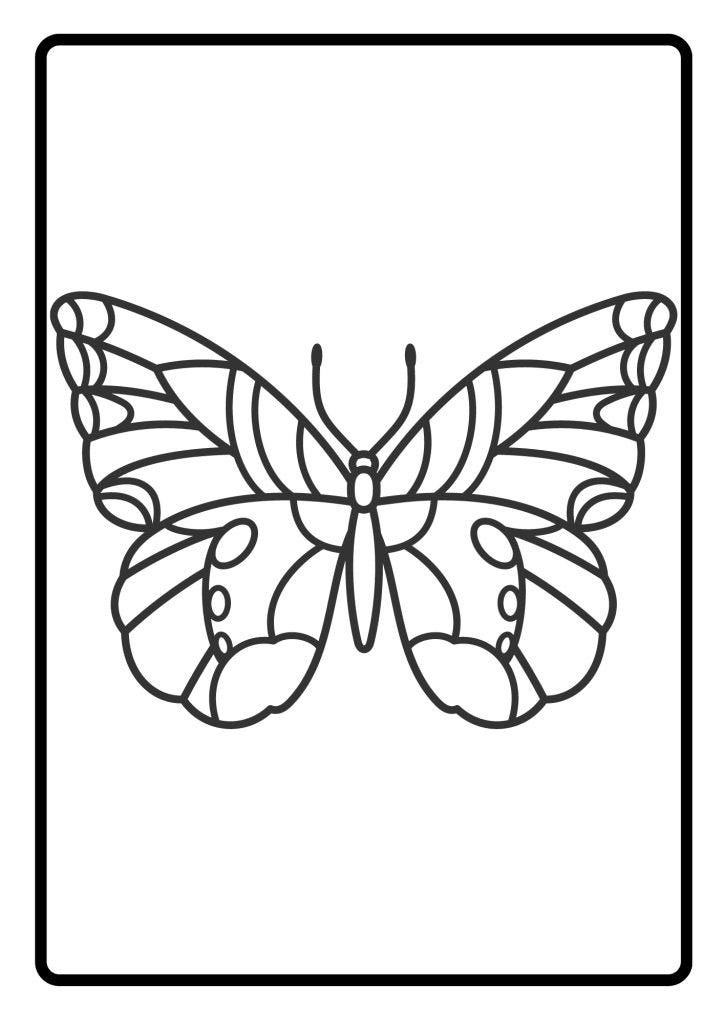 COLORING BUTTERFLY ILLUSTRATION 2