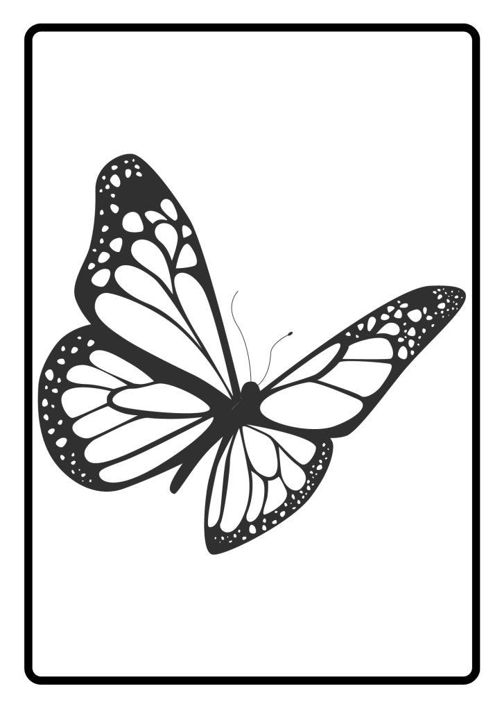 BUTTERFLY OUTLINE