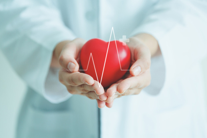 Modular heart in physician’s hand