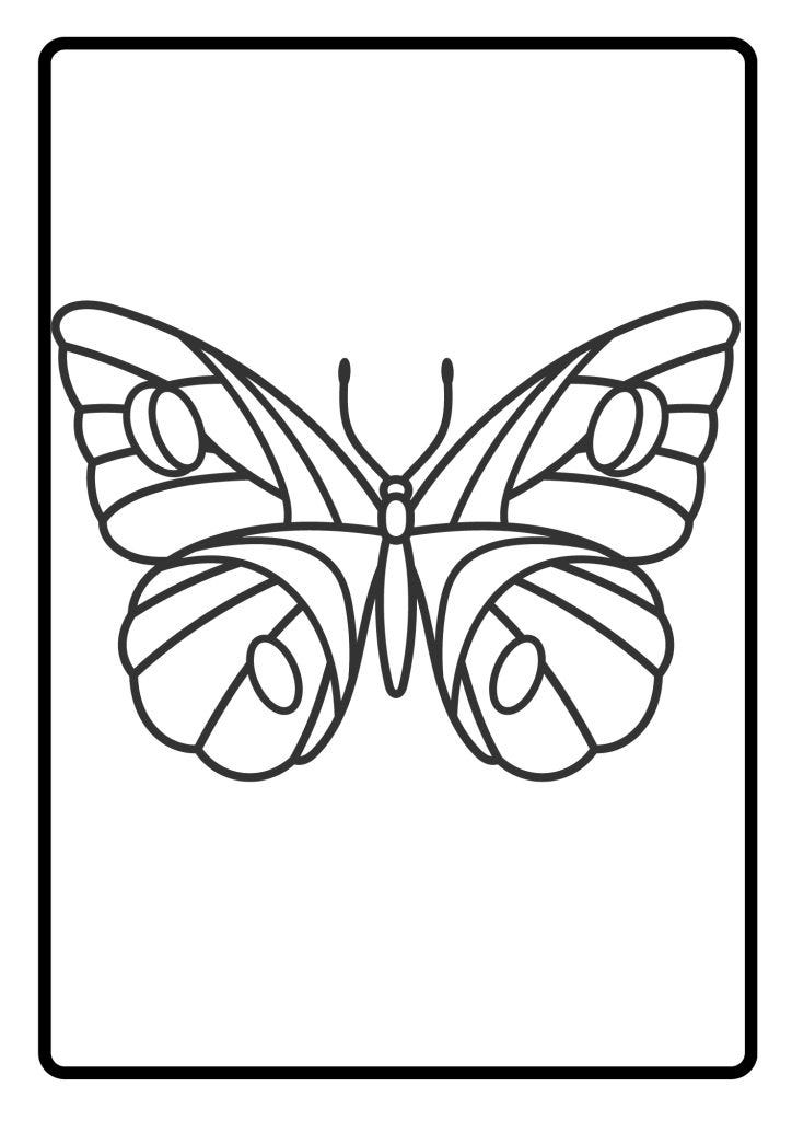 COLORING BUTTERFLY ILLUSTRATION