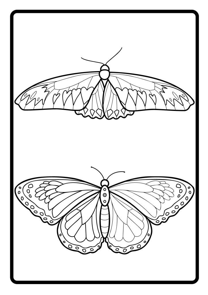BUTTERFLY BLACK AND WHITE VECTOR 6