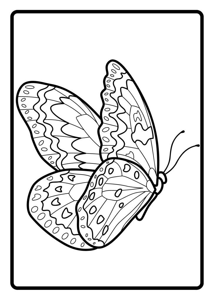 BUTTERFLY BLACK AND WHITE VECTOR 3